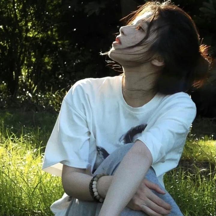 齐姆与友