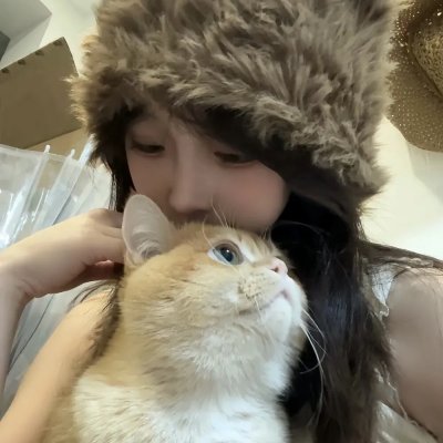 难波金融传·南之帝王