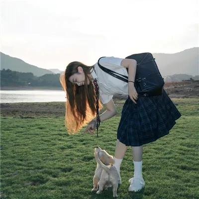 超级救援狗